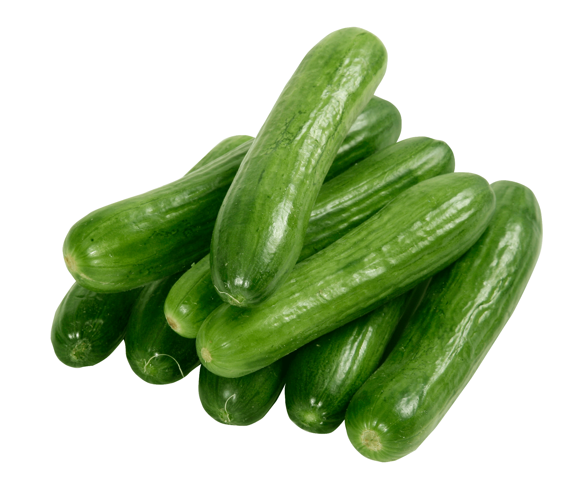 Cucumber Long